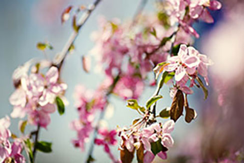 2010spring_006.jpg